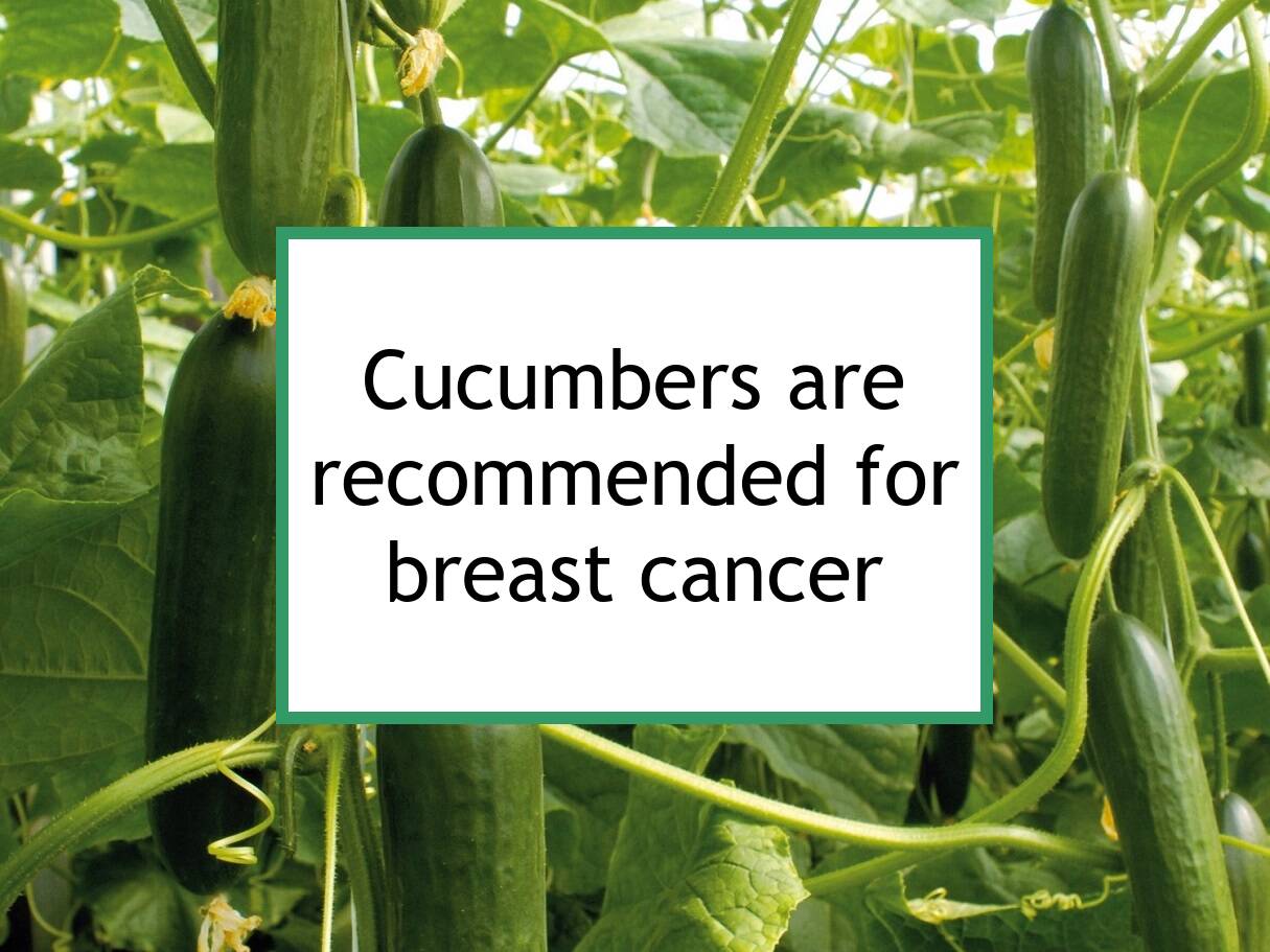 cucumber Fights Cancer