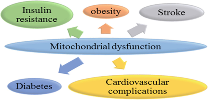 Types of Metabolic Disorders Linked to Mitochondrial Dysfunction 