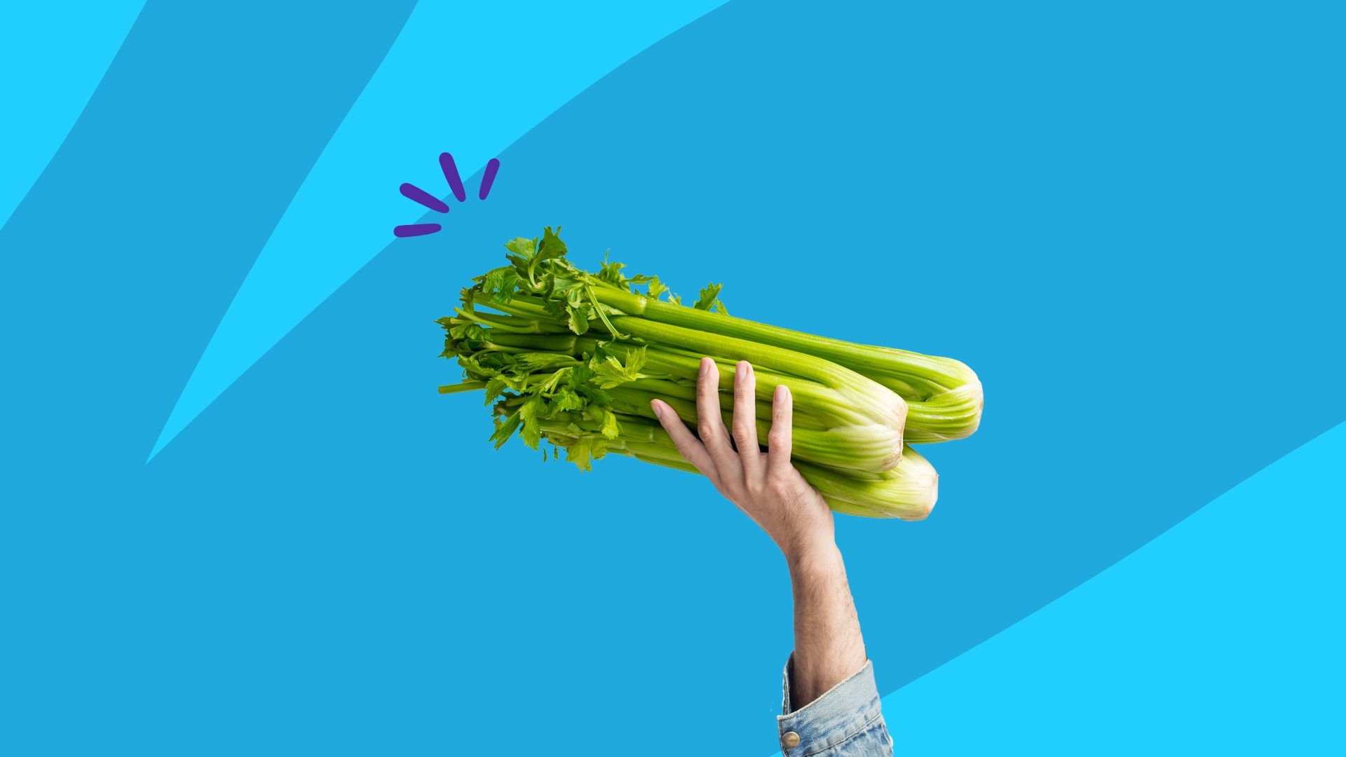 celery Manages Cholesterol Levels