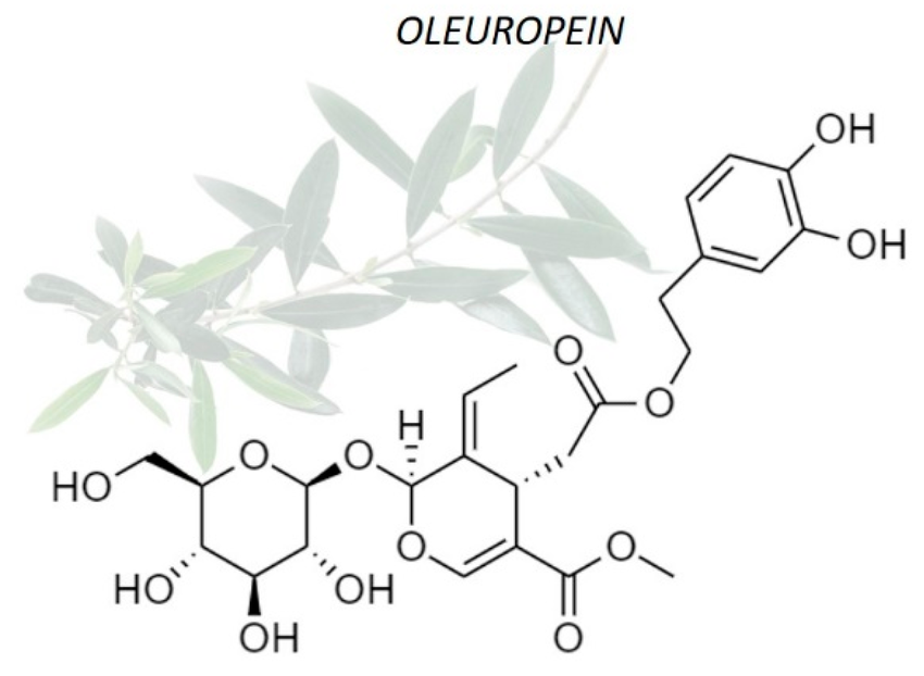 Oleuropein