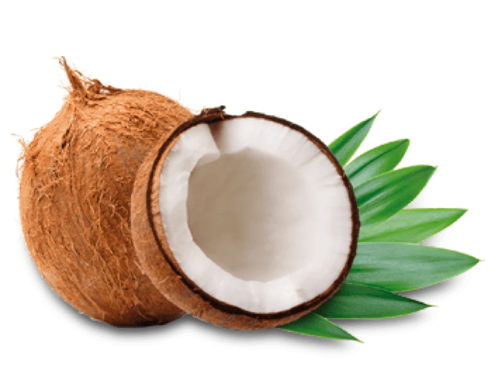 benefits of coconut 