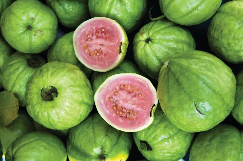 Guava