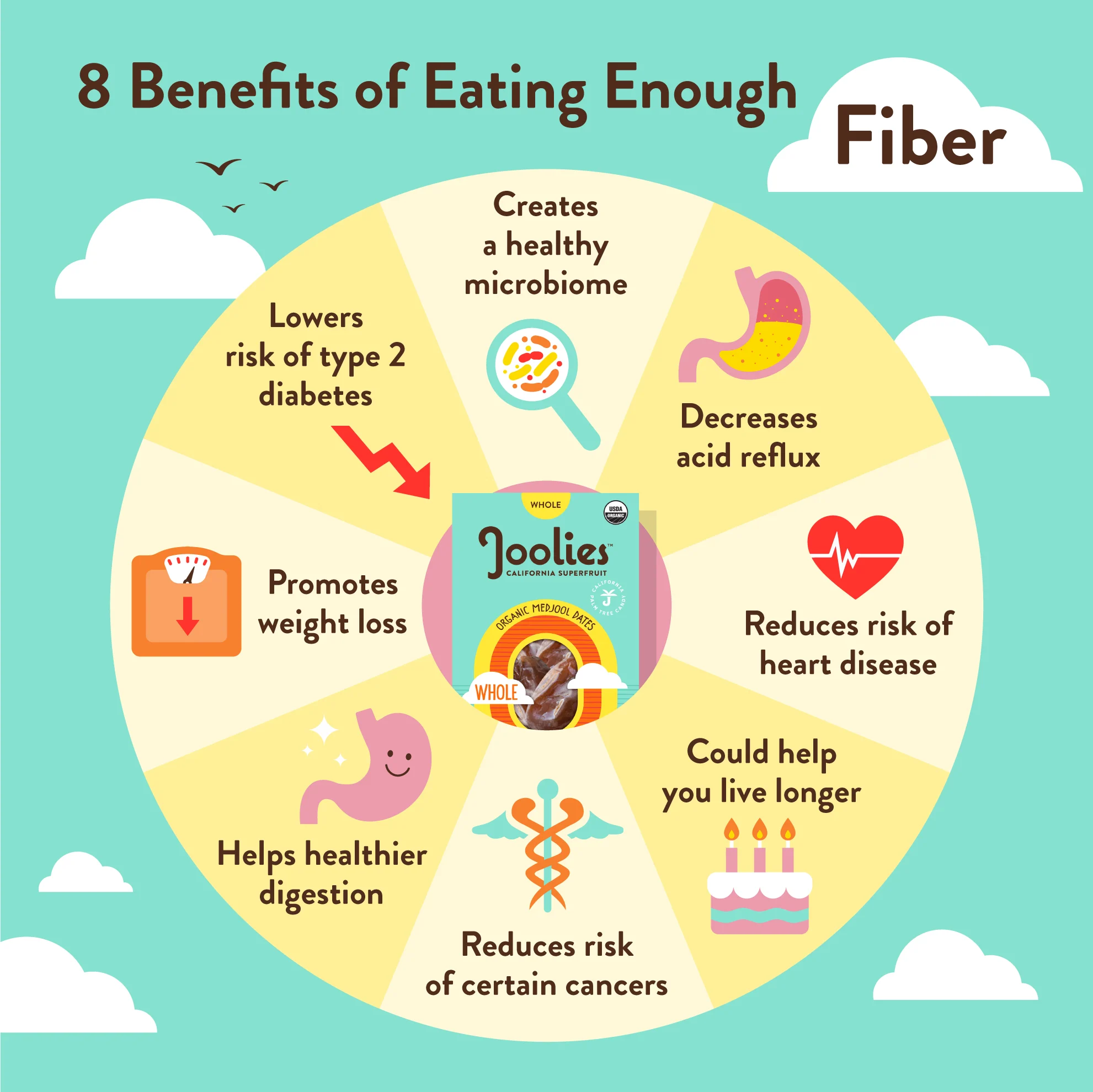 How does Dietary Fiber Work in our Body?