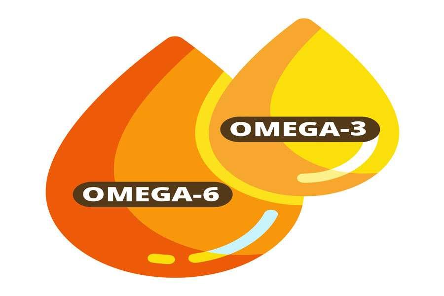 Omega-3 fatty acids and omega-6 fatty acids