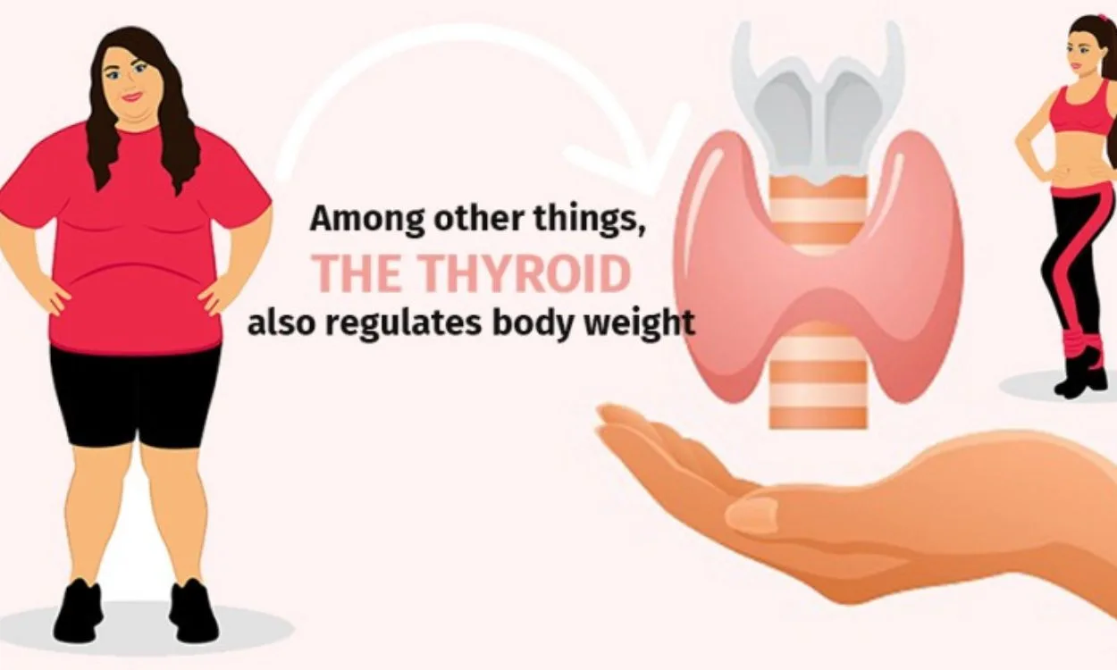 hypothyroidism and weight gain