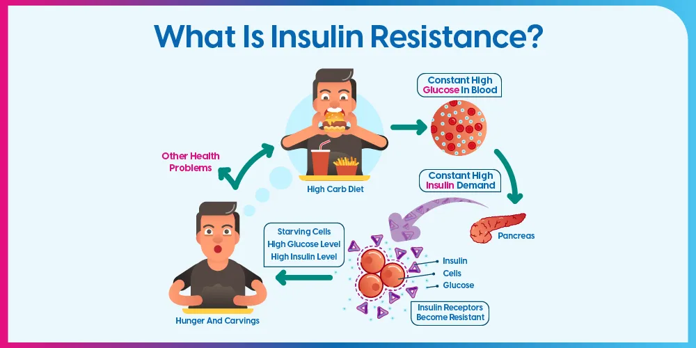 What is Insulin Resistance