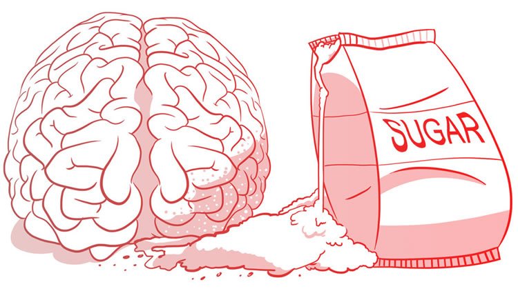 How sugar affects the brain