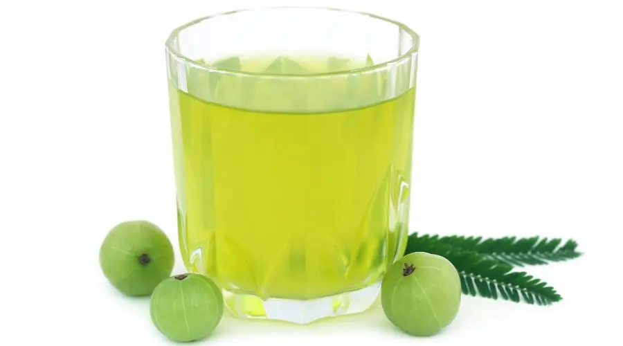 amla Promotes Metabolism