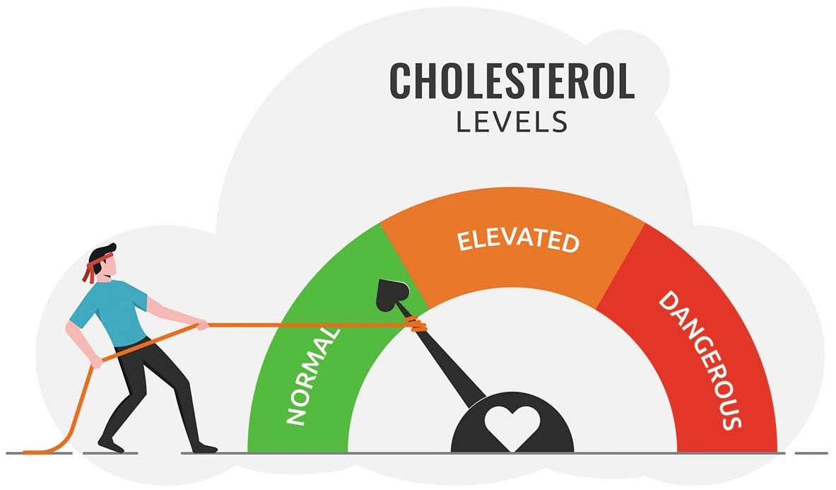 Cholesterol Reduction and Heart Health