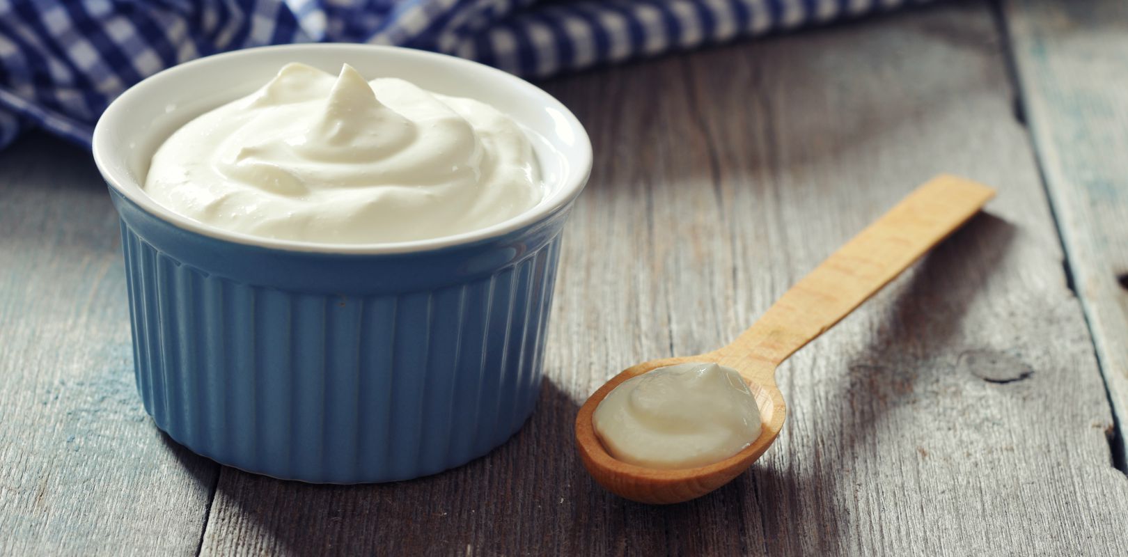 Fermented Yogurt 