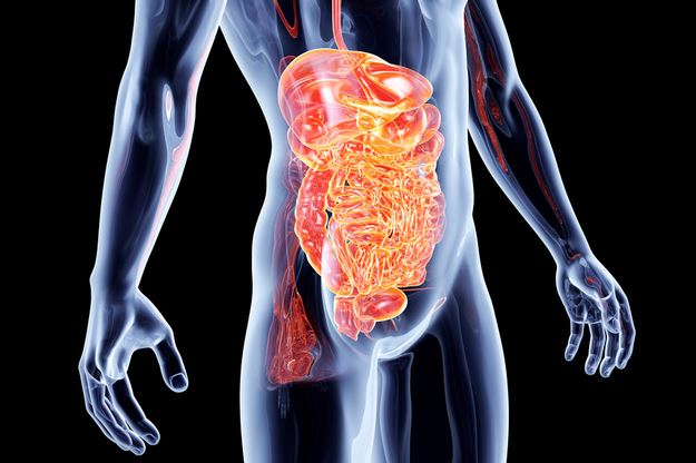 Gut Dysbiosis and Autoimmune Diseases