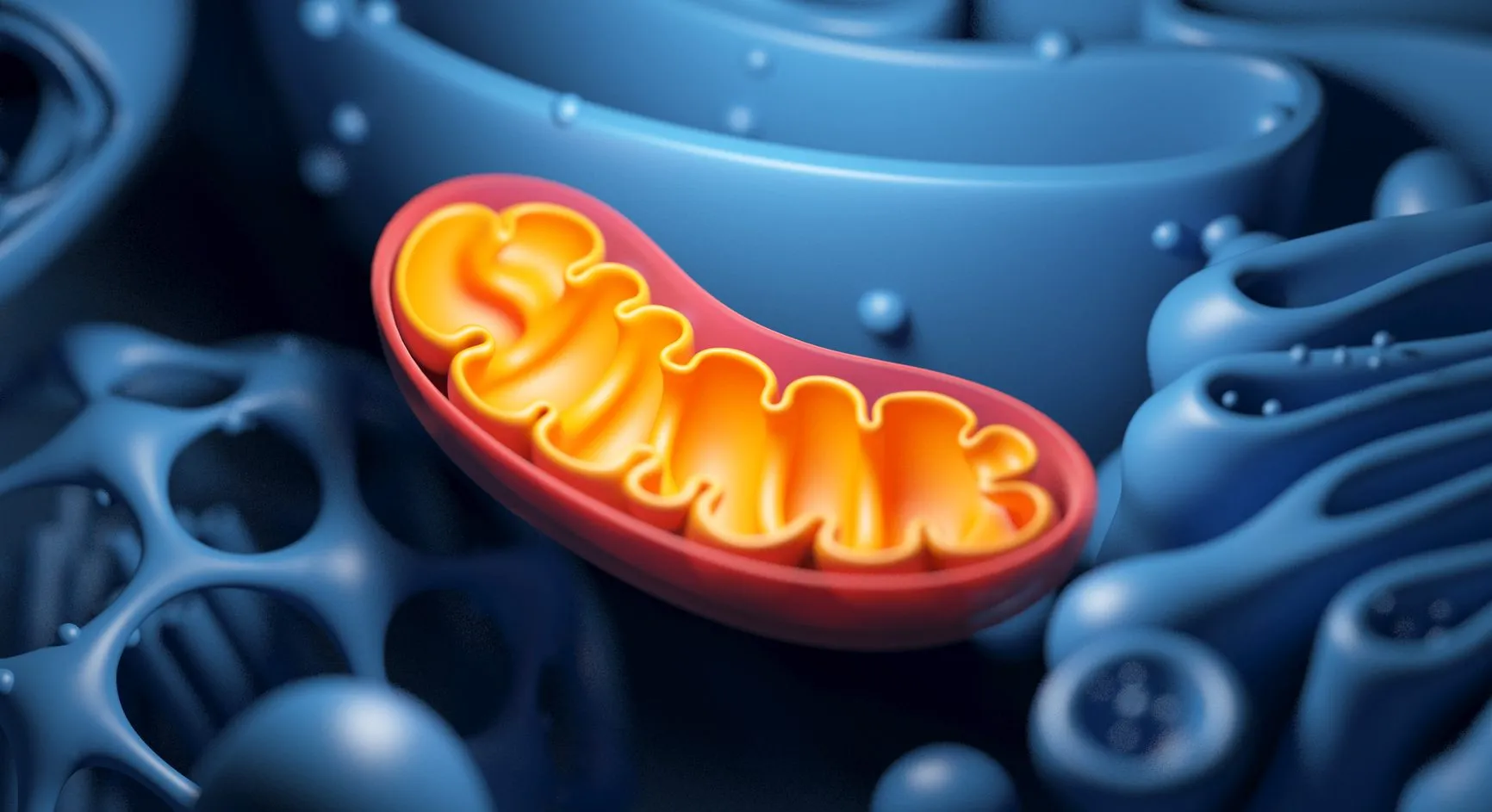 Mitochondrial Dysfunction