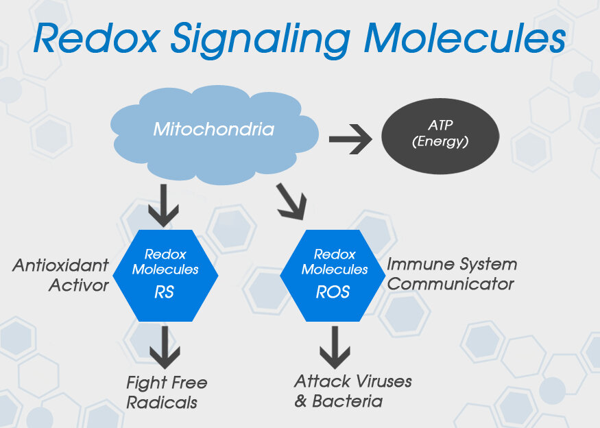 Redox Signaling Molecules 