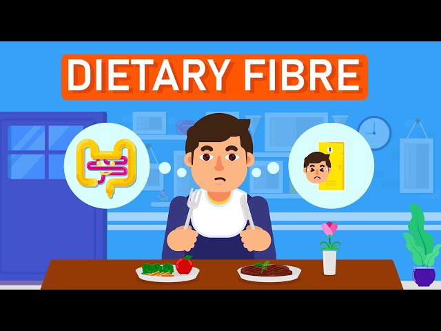 what to eat and what to avoid in dietary fiber