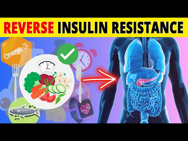 How can you Reverse Insulin Resistance?