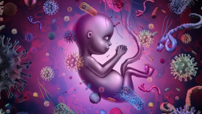 microbiome in infants