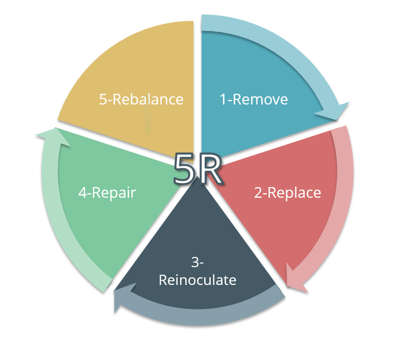 The 5R Approach