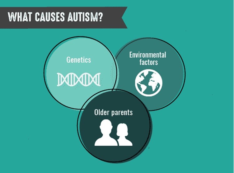 What causes ASD?